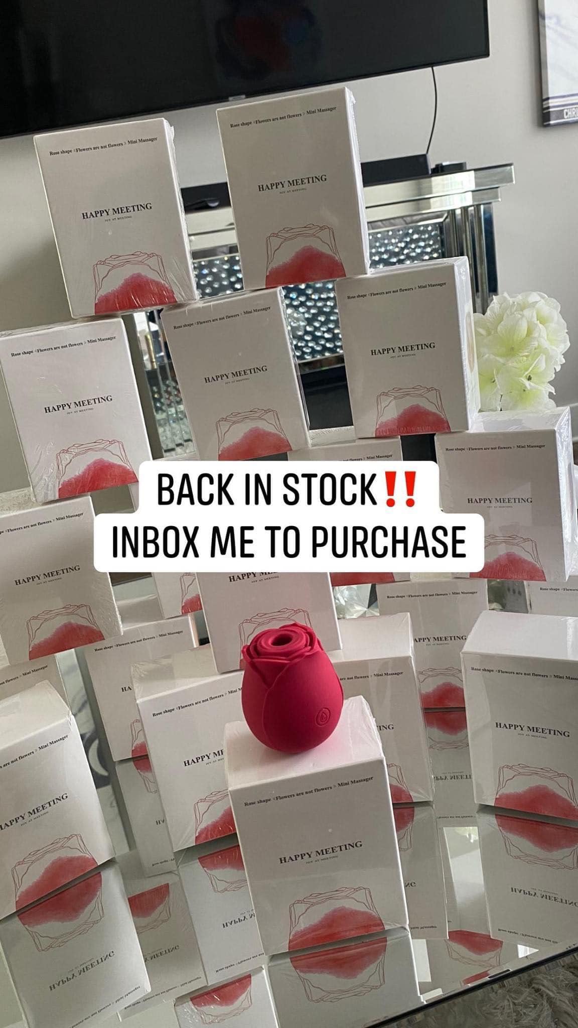 (Restocked) Rose Toy